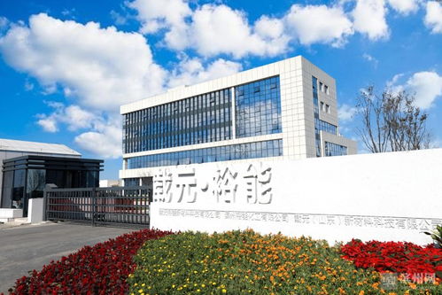 載元裕能產(chǎn)品發(fā)布會暨濱州裕能十周年慶典舉行